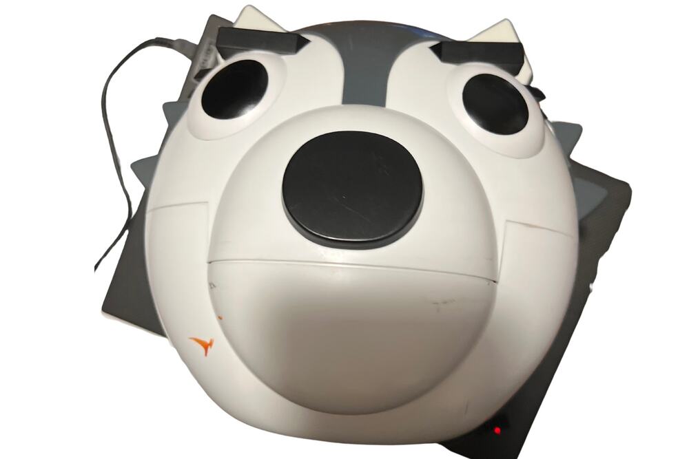 Piggy Willow Head great Piggy Bank or Storage Container